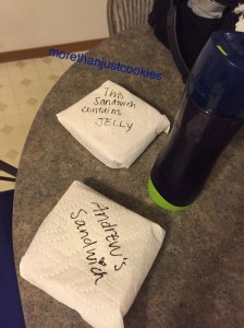 Y chromosomes need a little guidance sometimes